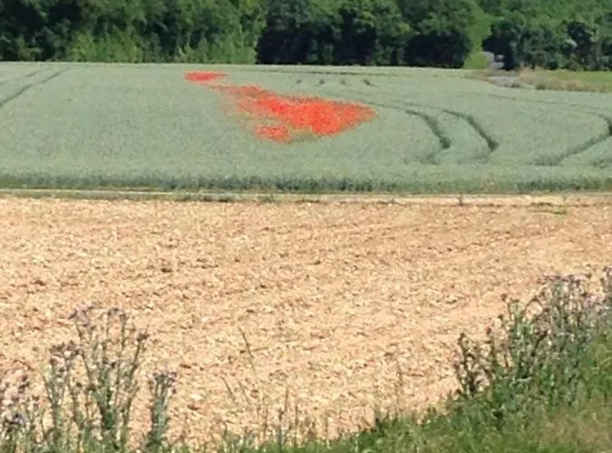 Maison Blanc Bed & Breakfast Gibourne