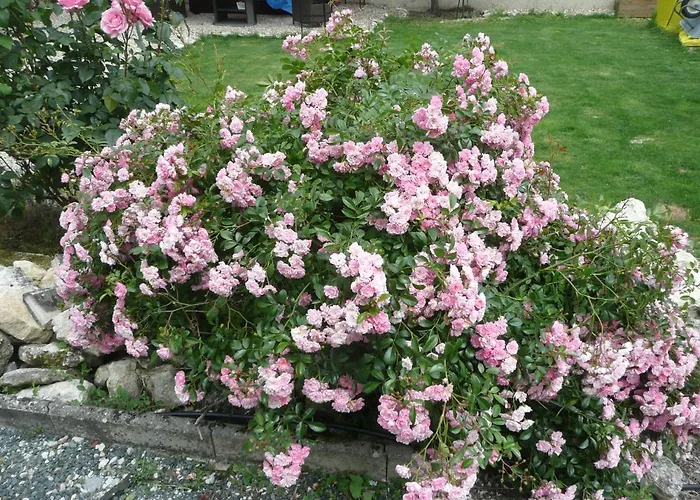 Maison Blanc Bed & Breakfast